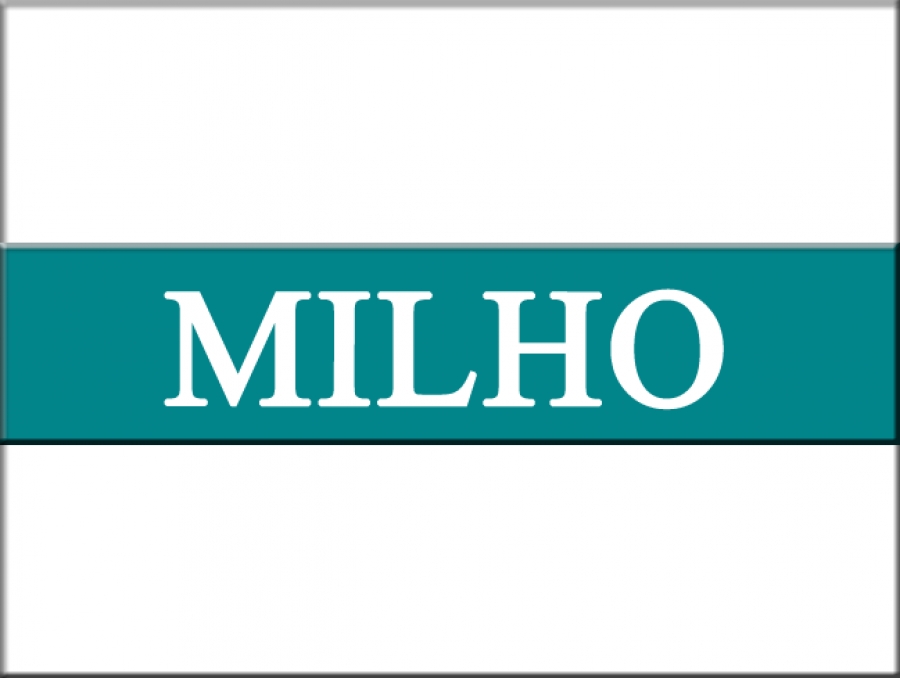Exportações de milho caíram 81,6% no primeiro trimestre de 2017, na comparação anual